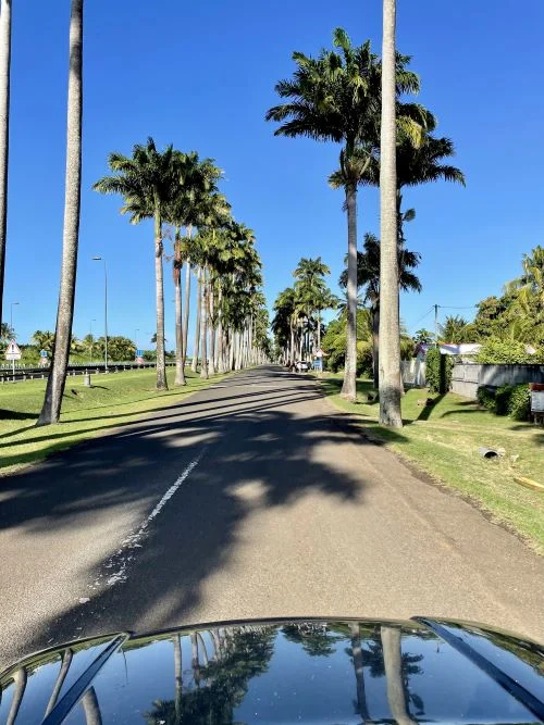 allee-dumanoir-guadeloupe