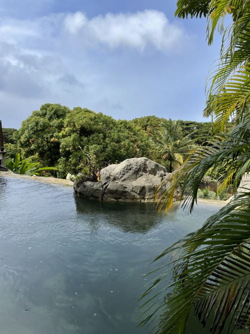 jardin-botanique-guadeloupe