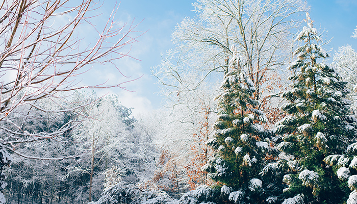 Idées de week-end pour Noël | Région du monde