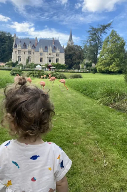 Enfant observant les flamants du Chili en liberté devant le château du Parc de Clères, en Seine-Maritime